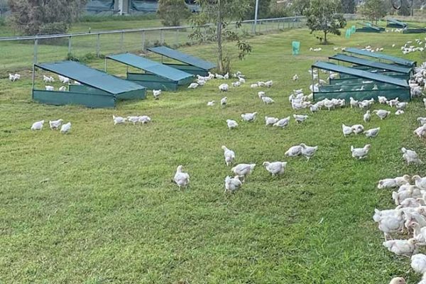 660px-1.-Screenshot-2024-10-21-at-1.16.00 PM evenly